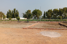 Land & Plots